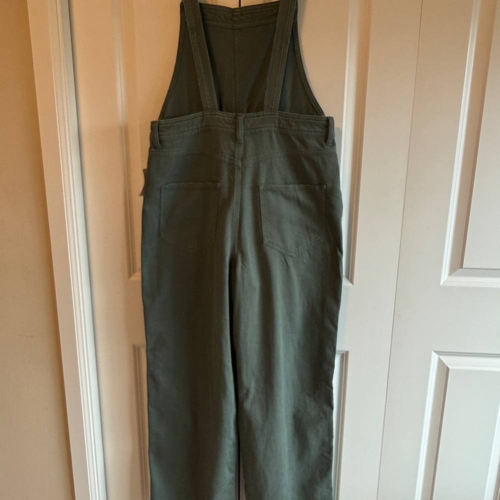 Aerie Y2K Baggy Overalls, Green Palm (NWT) - Picture 3 of 7